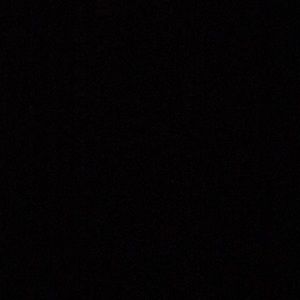 Meet your Posher, Titus